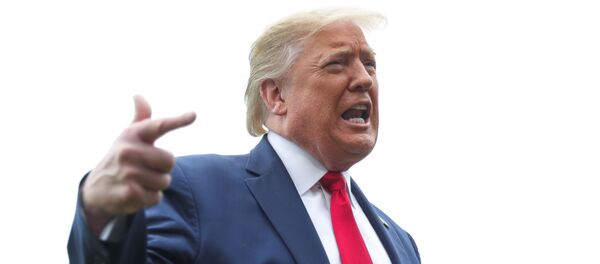 Donald Trump, presidente de EEUU - Sputnik Mundo