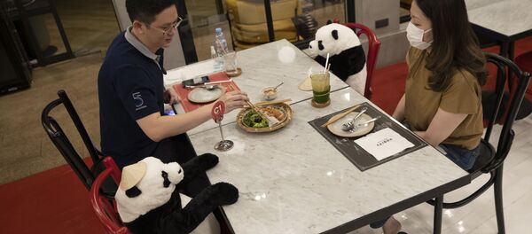 Los restaurantes en la época post-COVID-19: una experiencia distinta 

 - Sputnik Mundo