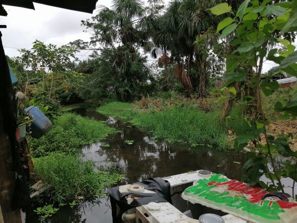 La tragedia anunciada de Leticia: enfrentando el COVID-19 en la Amazonía colombiana La tragedia anunciada de Leticia: enfrentando el COVID-19 en la Amazonía colombiana - Sputnik Mundo