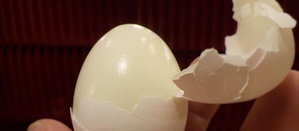 Persona pelando un huevo Persona pelando un huevo - Sputnik Mundo