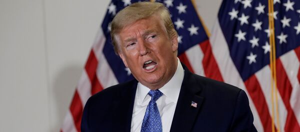 Donald Trump, presidente de EEUU - Sputnik Mundo