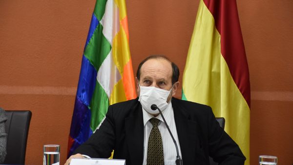 Marcelo Navajas, ministro de Salud de Bolivia Marcelo Navajas, ministro de Salud de Bolivia - Sputnik Mundo
