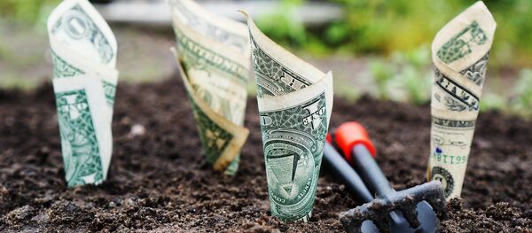 Dinero enterrado (imagen referencial) - Sputnik Mundo