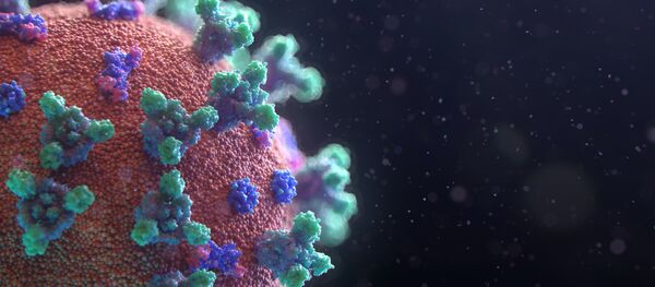 Coronavirus (imagen referencial) Coronavirus (imagen referencial) - Sputnik Mundo