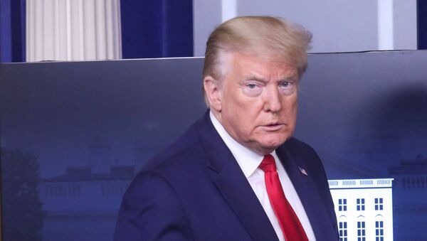Donald Trump, presidente de EEUU - Sputnik Mundo