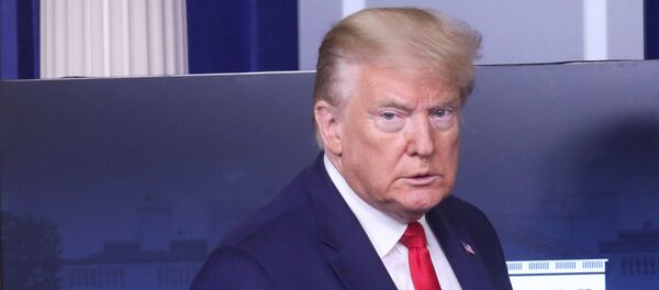 Donald Trump, presidente de EEUU - Sputnik Mundo