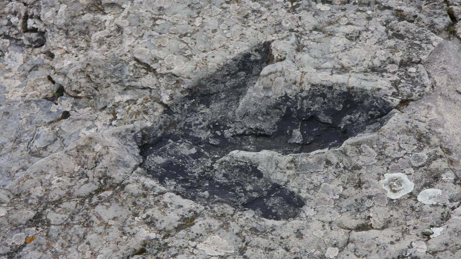 Huella de un dinosaurio (imagen referencial)