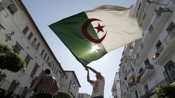 La bandera de Algeria La bandera de Algeria - Sputnik Mundo