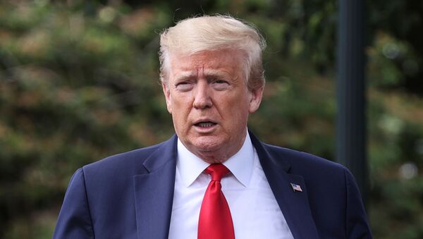 Donald Trump, presidente de EEUU Donald Trump, presidente de EEUU - Sputnik Mundo