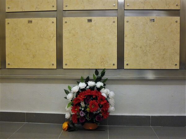 Se les ha interrumpido el duelo: las urnas de Madrid que esperan un funeral en condiciones - Sputnik Mundo