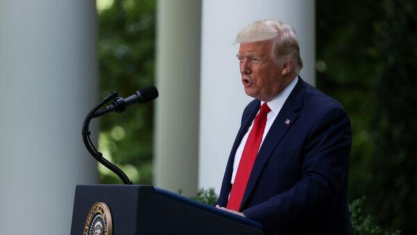 Donald Trump, presidente de EEUU - Sputnik Mundo