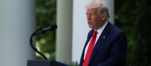 Donald Trump, presidente de EEUU Donald Trump, presidente de EEUU - Sputnik Mundo