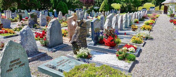 Flores en el cementerio Flores en el cementerio - Sputnik Mundo