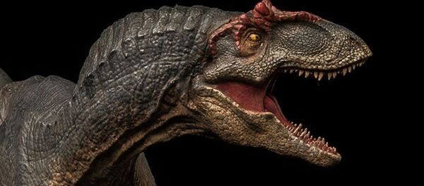 La maqueta de un Allosaurus - Sputnik Mundo