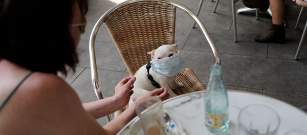 Coronavirus en Barcelona, España - Sputnik Mundo