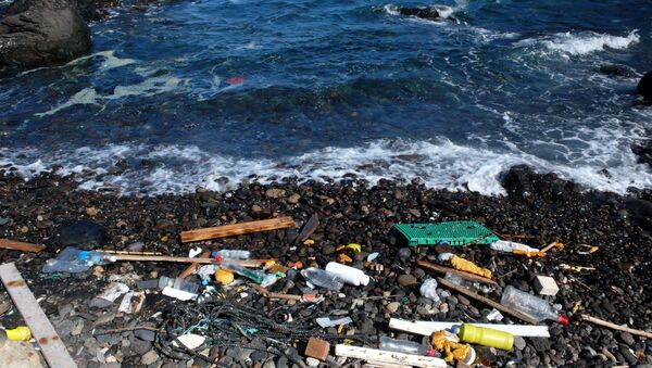 Basura arrastrada por el mar a la orilla (imagen referencial) - Sputnik Mundo