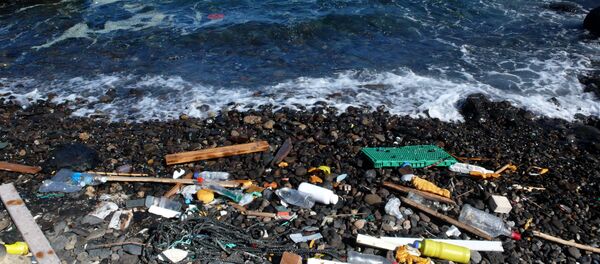 Basura arrastrada por el mar a la orilla (imagen referencial) - Sputnik Mundo