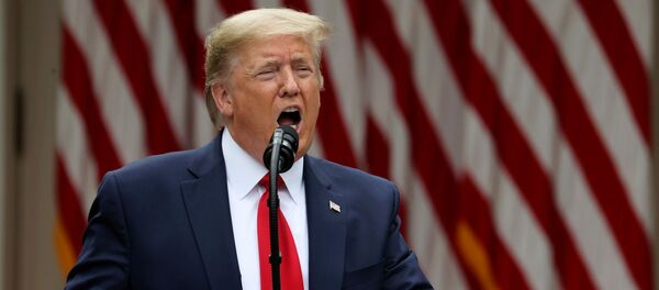 Donald Trump, presidente de EEUU - Sputnik Mundo