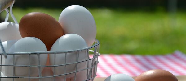 Huevos Huevos - Sputnik Mundo