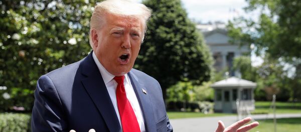 Donald Trump, presidente de EEUU  - Sputnik Mundo