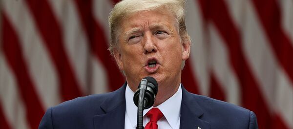 Donald Trump, presidente de EEUU - Sputnik Mundo