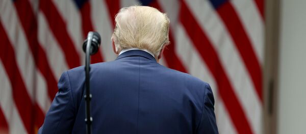 Donald Trump, presidente de EEUU Donald Trump, presidente de EEUU - Sputnik Mundo