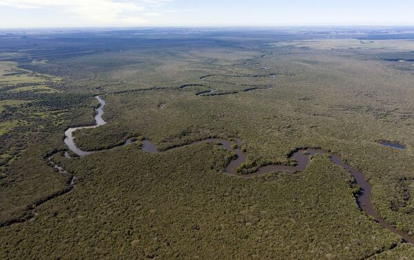 Río Queguay, Uruguay - Sputnik Mundo