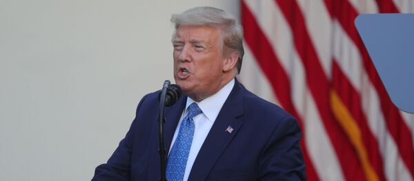 Donald Trump, presidente de EEUU - Sputnik Mundo