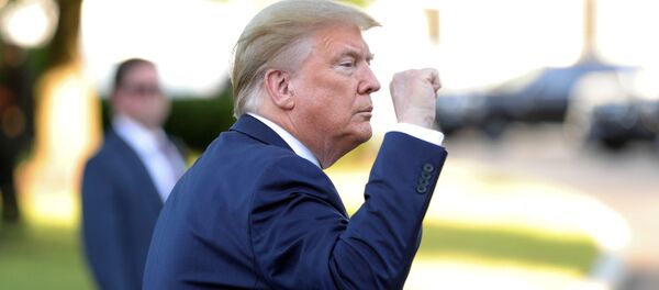 Donald Trump, presidente de EEUU - Sputnik Mundo