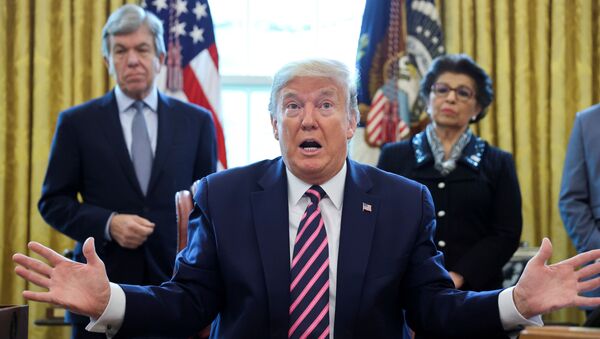 Donald Trump, presidente de EEUU - Sputnik Mundo