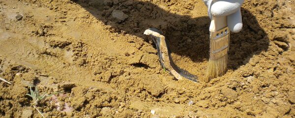 Arqueología (imagen referencial) - Sputnik Mundo