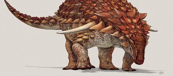 Borealopelta markmitchelli, ilustración - Sputnik Mundo