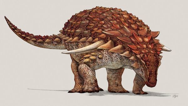 Borealopelta markmitchelli, ilustración - Sputnik Mundo