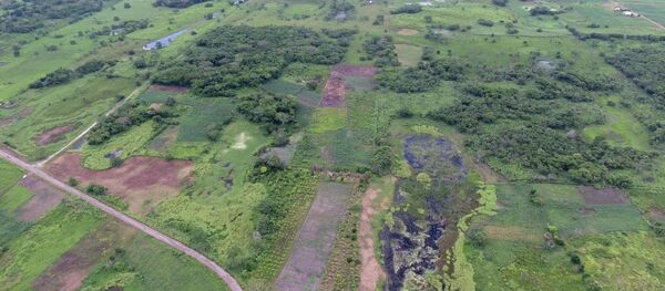 Una vista aérea del antiguo sitio maya en Aguada Fénix en México - Sputnik Mundo