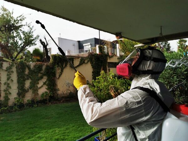 Adaptarse, aportar y cuidar el medioambiente a partir de la pandemia - Sputnik Mundo