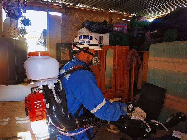 Adaptarse, aportar y cuidar el medioambiente a partir de la pandemia - Sputnik Mundo