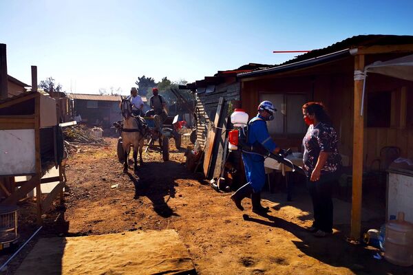 Adaptarse, aportar y cuidar el medioambiente a partir de la pandemia - Sputnik Mundo