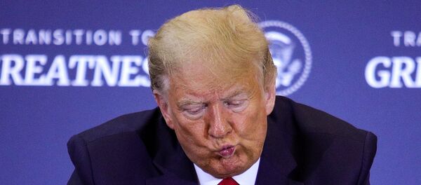 El presidente de EEUU, Donald Trump - Sputnik Mundo