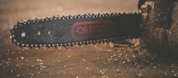 Una motosierra, imagen referencial - Sputnik Mundo