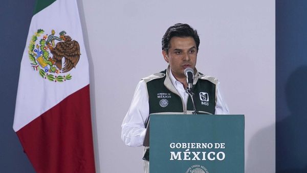 El director del Instituto Mexicano del Seguro Social (IMSS), Zoe Robledo El director del Instituto Mexicano del Seguro Social (IMSS), Zoe Robledo - Sputnik Mundo