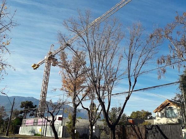 Casas sin vender, alquileres sin pagar, la pandemia arrasa el mercado inmobiliario chileno - Sputnik Mundo