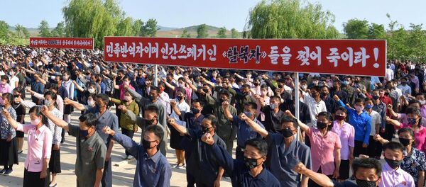 Manifestación contra acciones de desertores en Corea del Norte Manifestación contra acciones de desertores en Corea del Norte - Sputnik Mundo