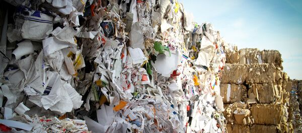 Basura (imagen referencial) - Sputnik Mundo