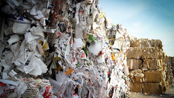 Basura (imagen referencial) - Sputnik Mundo