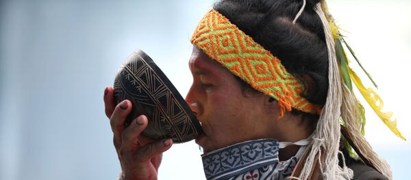 Un indígena en Brasil - Sputnik Mundo