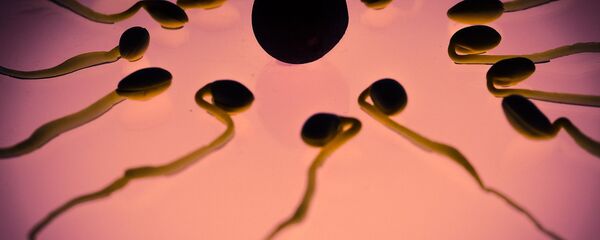 Unos espermatozoides con un óvulo Unos espermatozoides con un óvulo - Sputnik Mundo