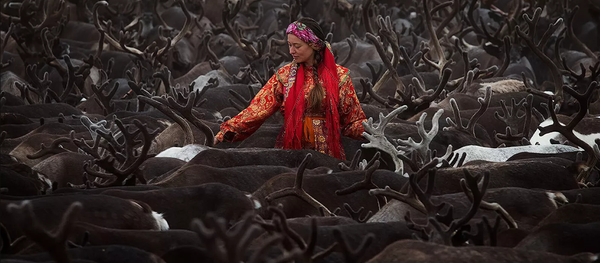 La foto fue tomada en la parte más septentrional de los montes Urales, en la frontera entre Europa y Asia. La mujer lleva el traje nacional de los komi mientras cuida una manada de ciervos. La foto fue tomada en la parte más septentrional de los montes Urales, en la frontera entre Europa y Asia. La mujer lleva el traje nacional de los komi mientras cuida una manada de ciervos. - Sputnik Mundo