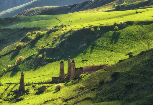 El antiguo complejo de torres conocido como Ni es una de las principales atracciones de Ingushetia.  - Sputnik Mundo