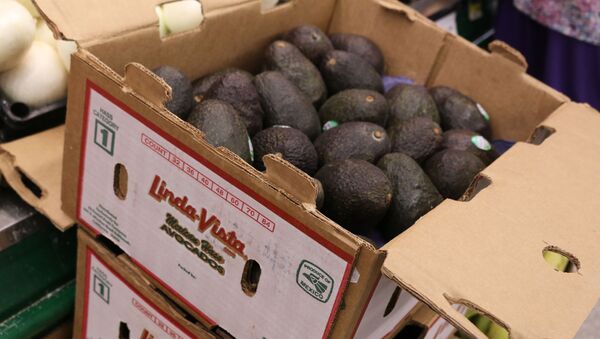 Aguacates mexicanos en una tienda de Estados Unidos - Sputnik Mundo