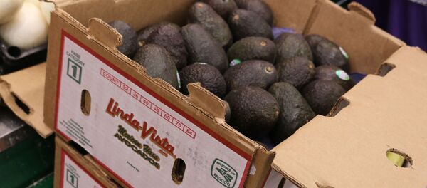 Aguacates mexicanos en una tienda de Estados Unidos - Sputnik Mundo